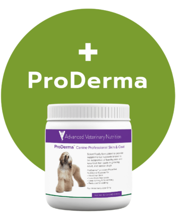 ProDerma Product Image