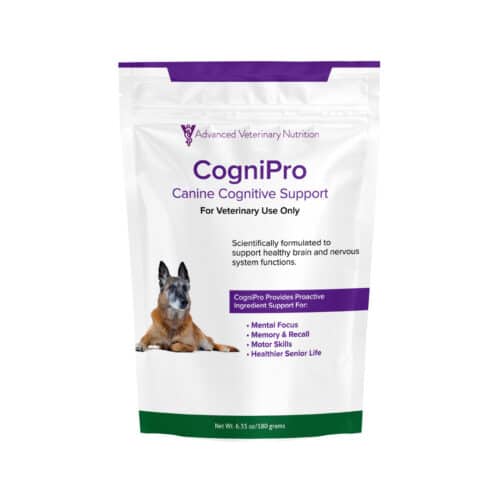 CogniPro - Image 2