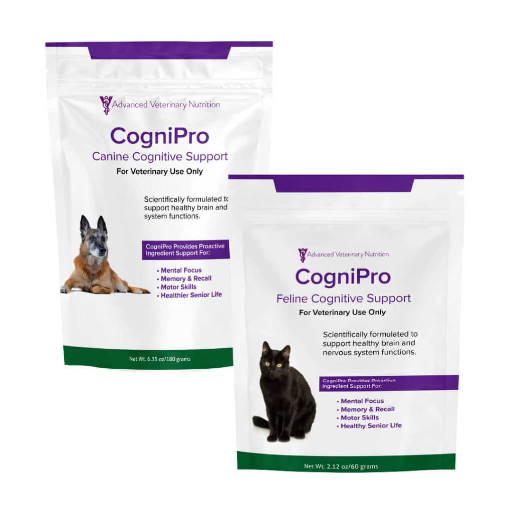 CogniPro