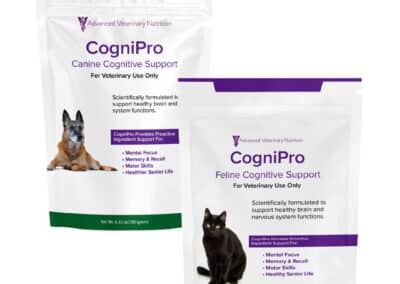 CogniPro
