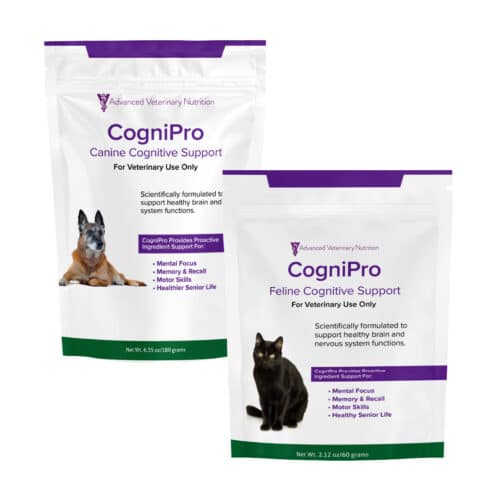 CogniPro