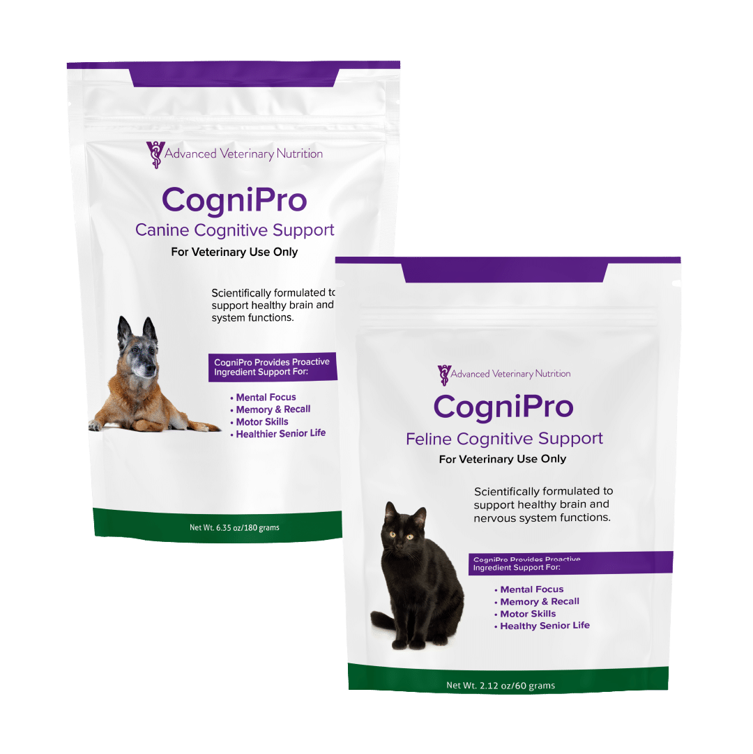 Arthra Pro Product Image