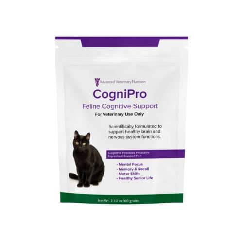 CogniPro - Image 4
